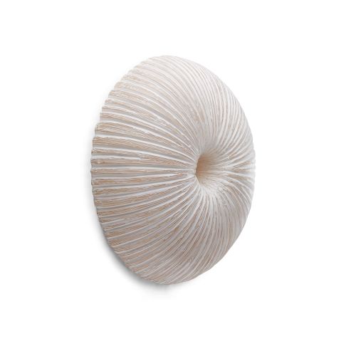 wandleuchte-ammonit